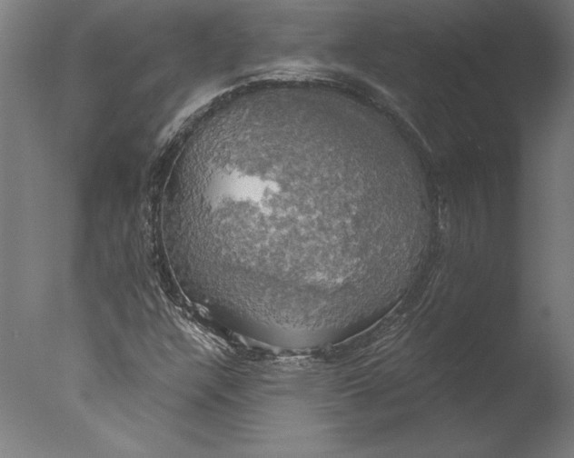 X0000076331304200610201654