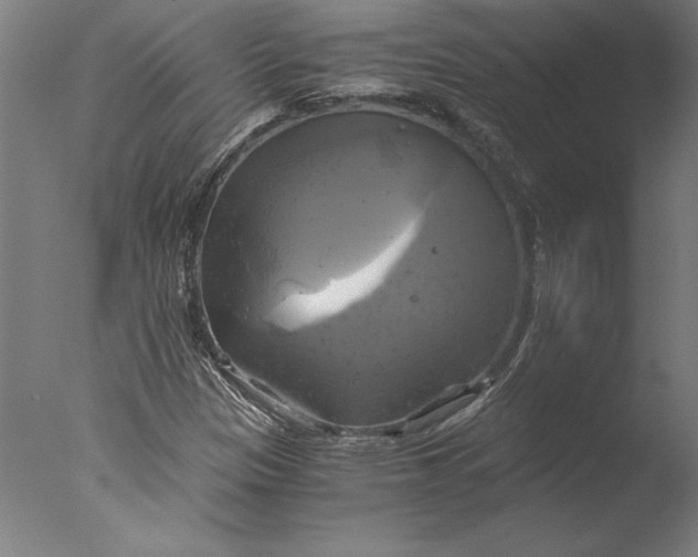 X0000076331305200610201654