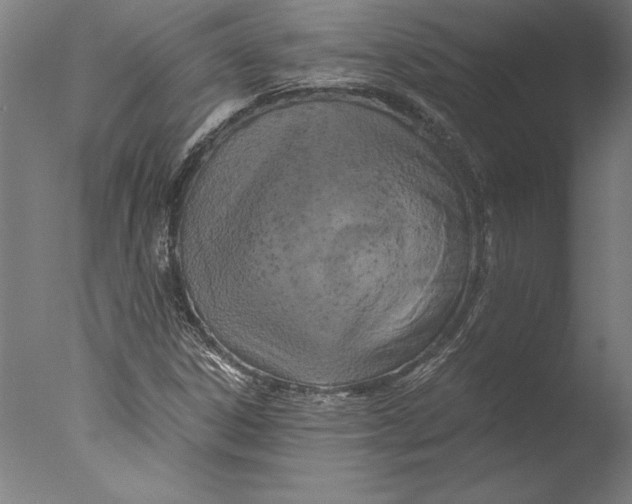 X0000076331306200610201654