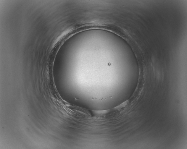 X0000076331307200610201654