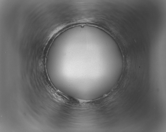 X0000076331308200610201654