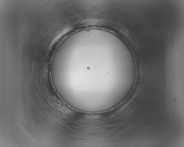 X0000076331309200610201654