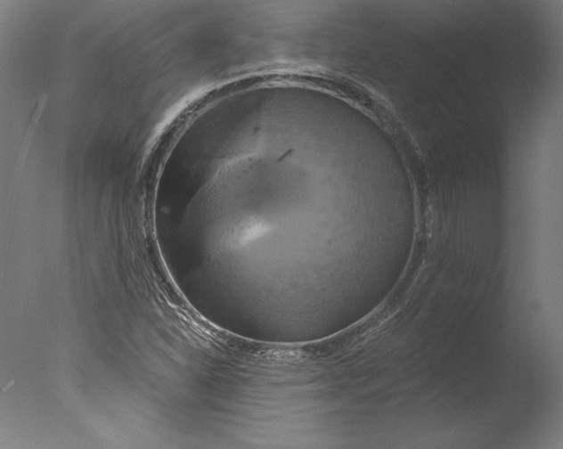 X0000076331310200610201654