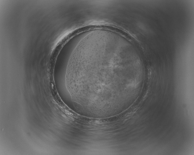 X0000076331311200610201654