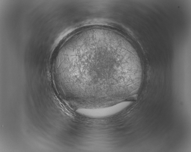 X0000076331312200610201654