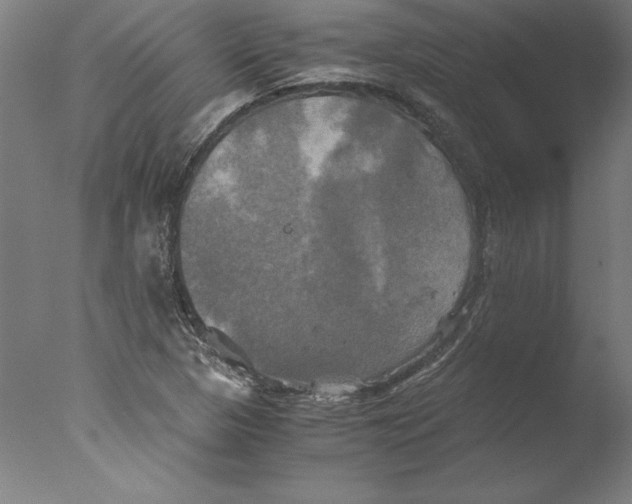 X0000076331313200610201654