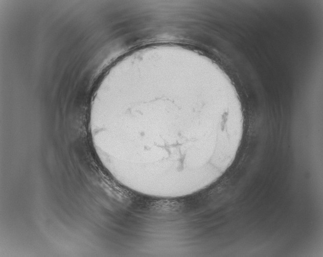 X0000076331314200610201654