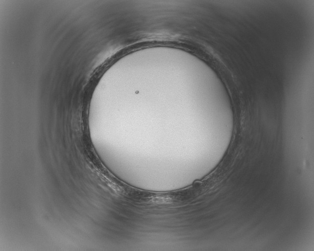 X0000076331315200610201654