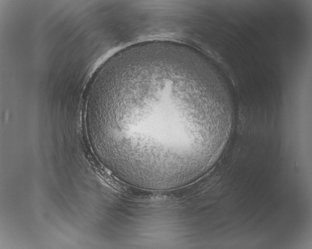 X0000076331316200610201654