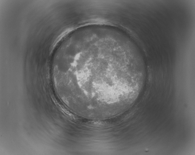 X0000076331318200610201654