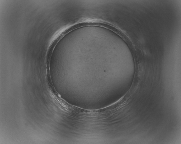 X0000076331319200610201654