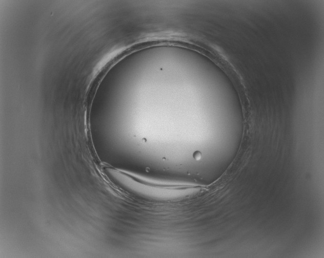 X0000076331320200610201654