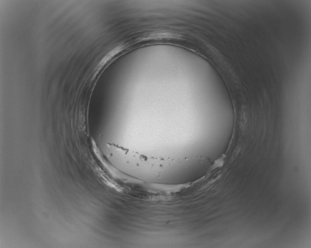 X0000076331321200610201654