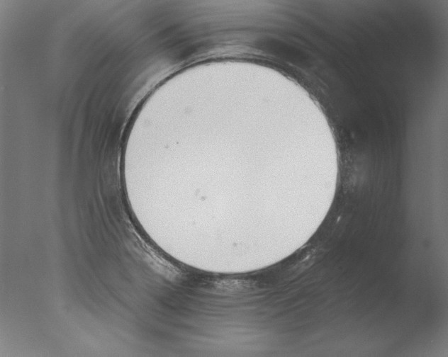 X0000076331322200610201654