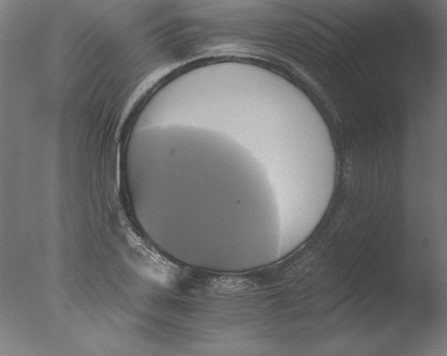 X0000076331323200610201654