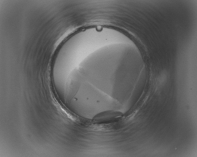 X0000076331325200610201654