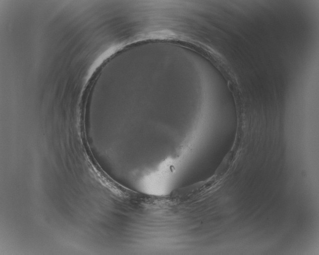 X0000076331326200610201654