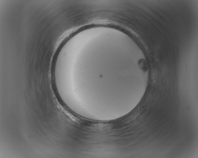 X0000076331327200610201654