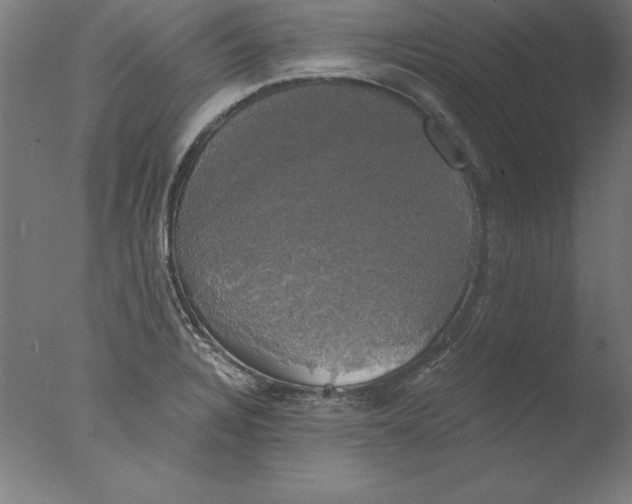 X0000076331328200610201654