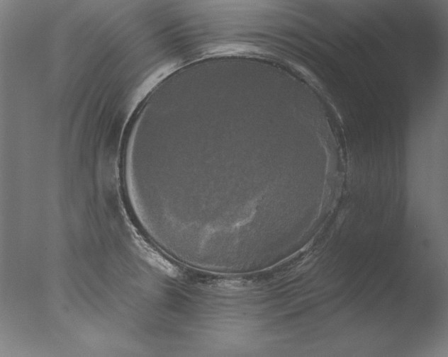 X0000076331330200610201654