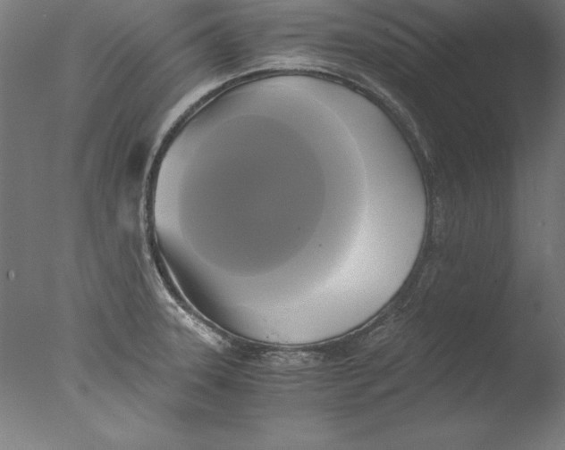 X0000076331331200610201655