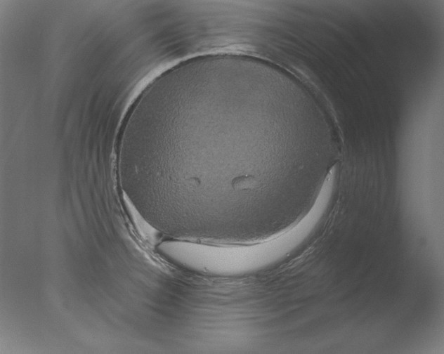 X0000076331332200610201655