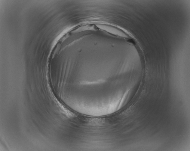 X0000076331333200610201655