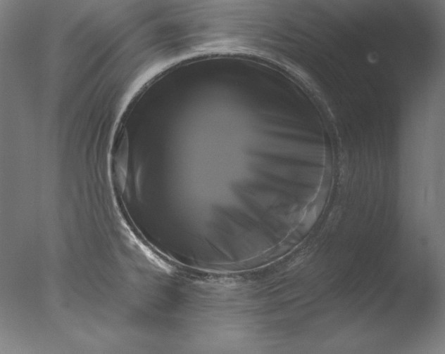 X0000076331334200610201655