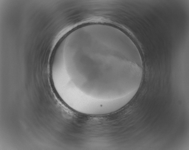 X0000076331335200610201655