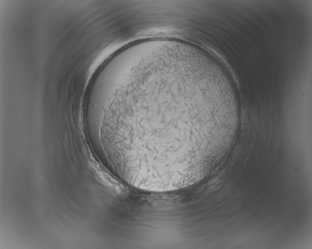 X0000076331336200610201655