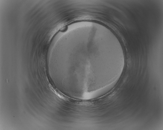 X0000076331337200610201655