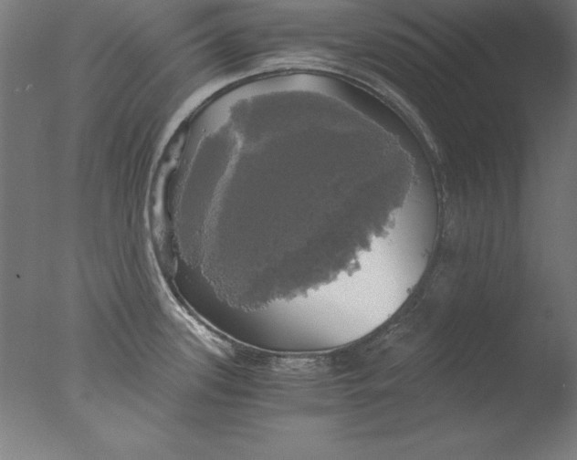 X0000076331339200610201655