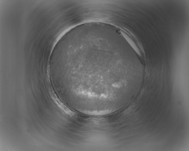 X0000076331340200610201655