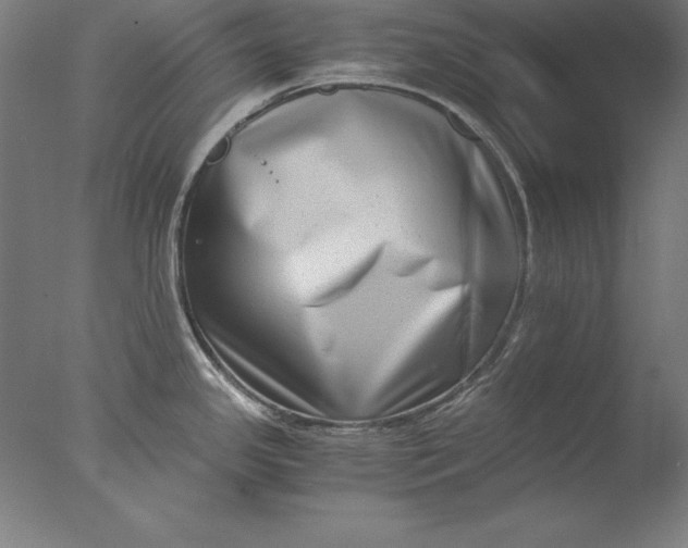 X0000076331341200610201655