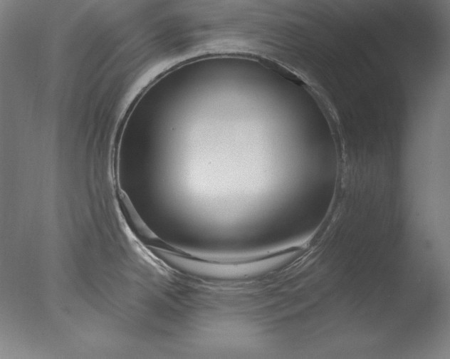 X0000076331342200610201655