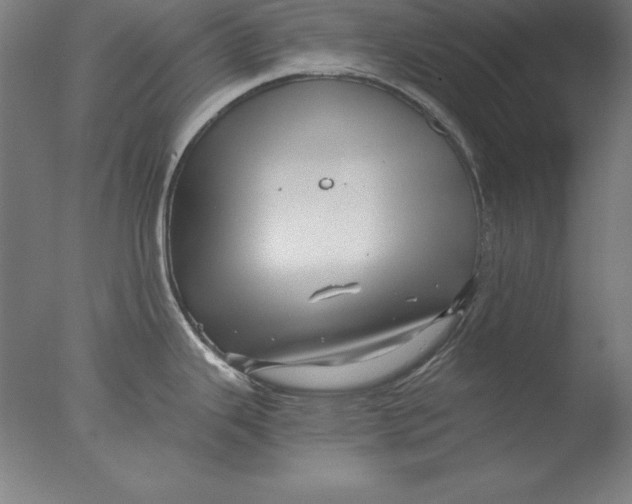 X0000076331343200610201655