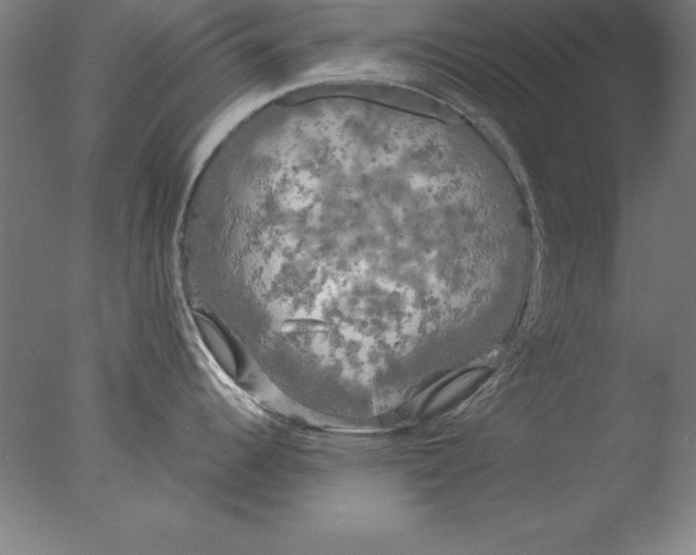 X0000076331344200610201655