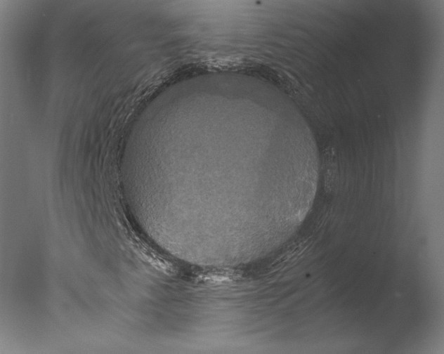 X0000076331345200610201654