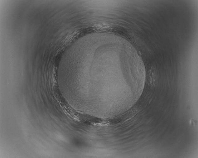 X0000076331346200610201654