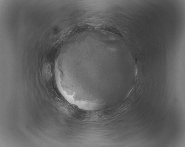 X0000076331347200610201654