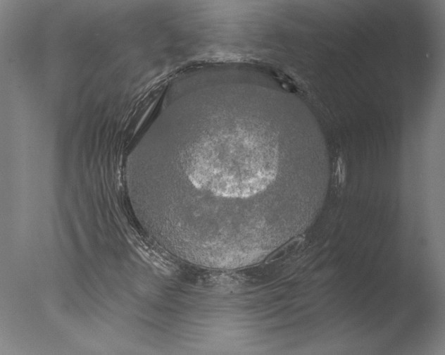 X0000076331348200610201654