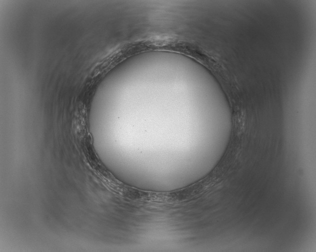 X0000076331349200610201654