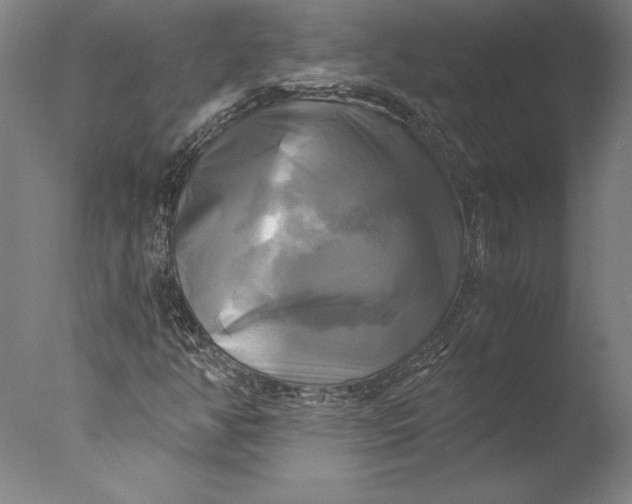 X0000076331350200610201654