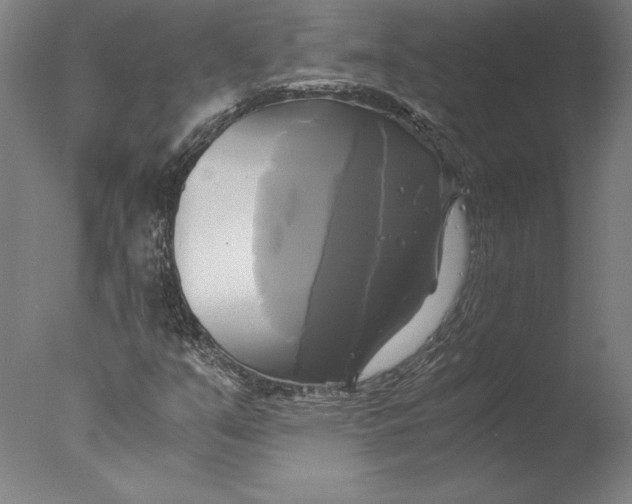 X0000076331351200610201654