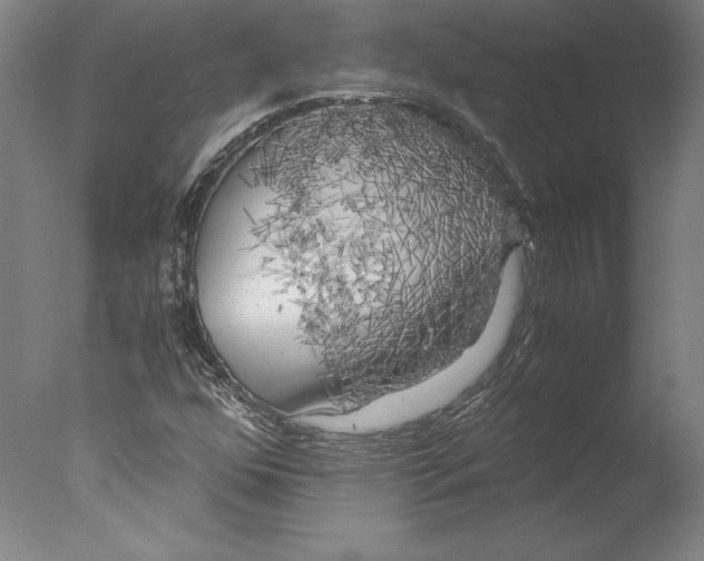 X0000076331352200610201654