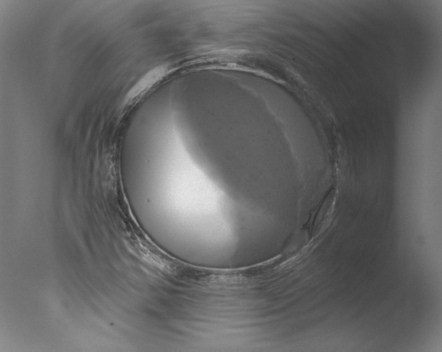 X0000076331354200610201654