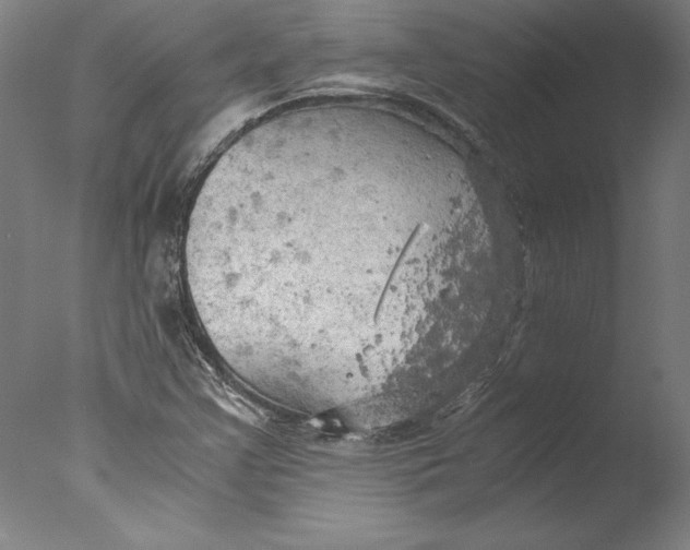 X0000076331355200610201654