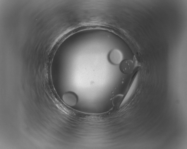 X0000076331356200610201654