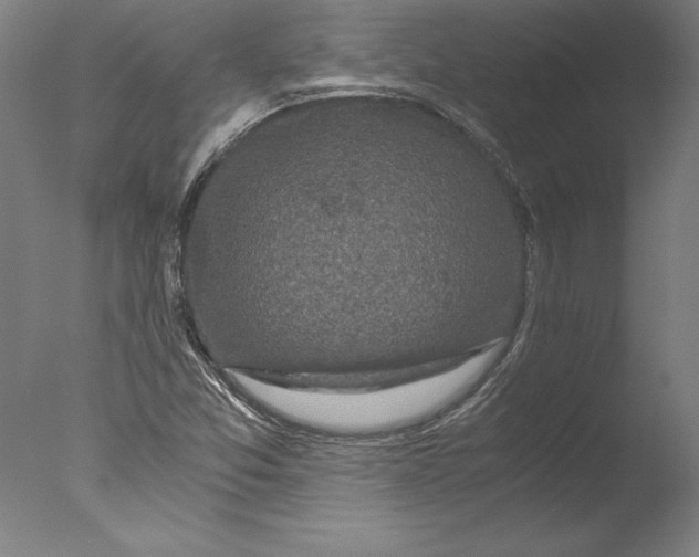 X0000076331357200610201654