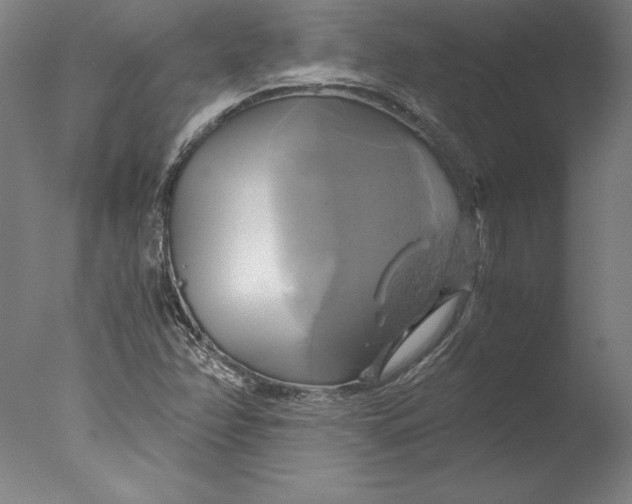 X0000076331358200610201654